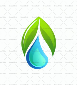 Wassertropfen und Blatt